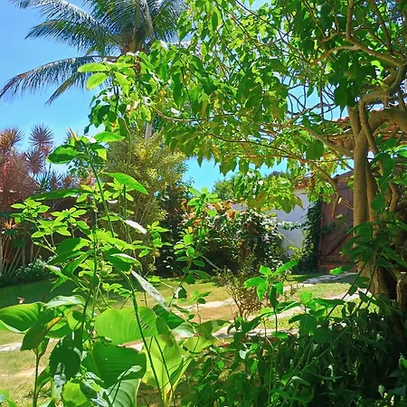 Namorada Brava Guest House Praia Brava, Piscina & Naturaleza-3